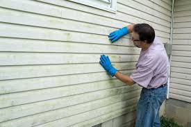 Best Wood Siding Installation  in Casselberry, FL